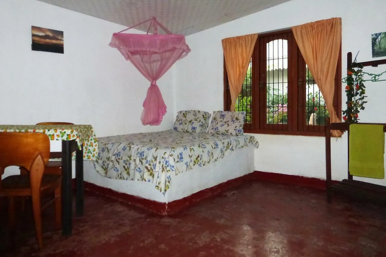 Grace Homestay Negombo